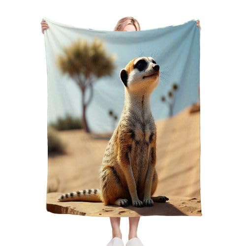 ZZXHG Kuscheldecke Flauschig 180 x 200 cm WüStenfennec-Fuchs, Plüsch Decke Tagesdecke für Kind Erwachsene, Weiche Flanell Fleecedecke Sofadecke Zweiseitige Outdoordecke für Sofa Bett von ZZXHG