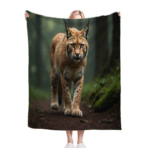 ZZXHG Kuscheldecke Flauschig Gelber Luchs, Warme Flanell Fleecedecke Wohndecke Sofadecke, Weiche Plüsch Decke Blanket für Kind Erwachsene, Wendedecke Wolldecke Tagesdecke 220x240 XXL von ZZXHG