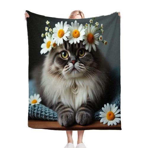 ZZXHG Kuscheldecke Flauschig Graue Ragdoll-Katze, Warme Flanell Fleecedecke Wohndecke Sofadecke, Weiche Plüsch Decke Blanket für Kind Erwachsene, Wendedecke Wolldecke Tagesdecke 220x240 XXL von ZZXHG
