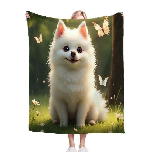 ZZXHG Kuscheldecke Flauschig Kind WeißEr Pomeranian, Weiche Flanell Fleecedecke Plüsch Decke für Kind Haustier, Warm Sofadecke Wohndecke Couchdecke Wolldecke Tagesdecke - 75x100 cm e1217 ZZXHG Kuscheldecke Flauschig Kind WeißEr Pomeranian, Weiche Flanell Fleecedecke Plüsch Decke für Kind Haustier, Warm Sofadecke Wohndecke Couchdecke Wolldecke Tagesdecke - 75x100 cm e1217 von ZZXHG