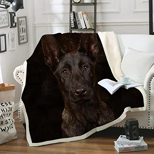 ZZXHG Kuscheldecke Flauschig Schwarzer Malinois, Warme Flanell Fleecedecke Wohndecke Sofadecke, Weiche Plüsch Decke Blanket Für Kinder Erwachsene, Wendedecke Wolldecke Tagesdecke 220x240 XXL von ZZXHG