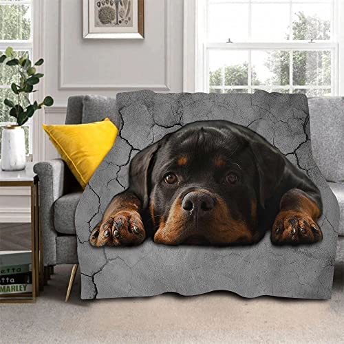 ZZXHG Kuscheldecke Flauschig Schwarzes Tier Rottweiler, Warme Flanell Fleecedecke Wohndecke Sofadecke, Weiche Plüsch Decke Blanket Für Kinder Erwachsene, Wendedecke Wolldecke Tagesdecke 220x240 XXL von ZZXHG