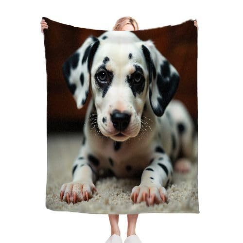 ZZXHG Kuscheldecke Flauschig WeißEr Gefleckter Hund, Warme Flanell Fleecedecke Wohndecke Sofadecke, Weiche Plüsch Decke Blanket für Kind Erwachsene, Wendedecke Wolldecke Tagesdecke 220x240 XXL von ZZXHG