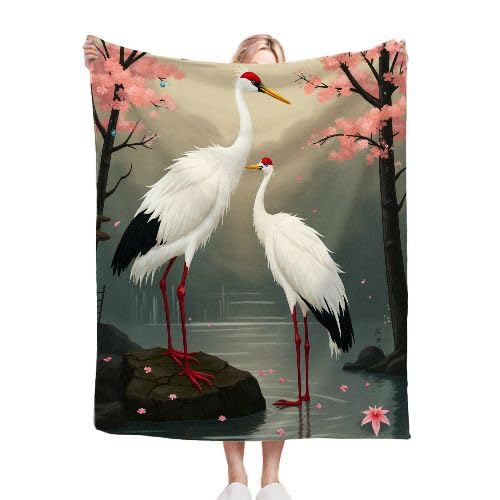 ZZXHG Kuscheldecke Flauschig WeißEr Kranich, Warme Flanell Fleecedecke Wohndecke Sofadecke, Weiche Plüsch Decke Blanket für Kind Erwachsene, Wendedecke Wolldecke Tagesdecke 220x240 XXL von ZZXHG