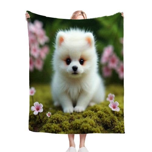 ZZXHG Kuscheldecke Flauschig WeißEr Pomeranian, Warme Flanell Fleecedecke Wohndecke Sofadecke, Weiche Plüsch Decke Blanket für Kind Erwachsene, Wendedecke Wolldecke Tagesdecke 220x240 XXL f281 von ZZXHG