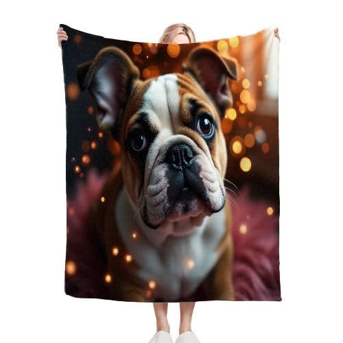 ZZXHG Kuscheldecke Flauschige 150x200 XL Braune Bulldogge, Weiche Plüsch Decke für Kind Adulte, Warm Flanell Fleecedecke Wendedecke Wohndecke für Bett, Wolldecke Sofadecke Tagesdecke von ZZXHG