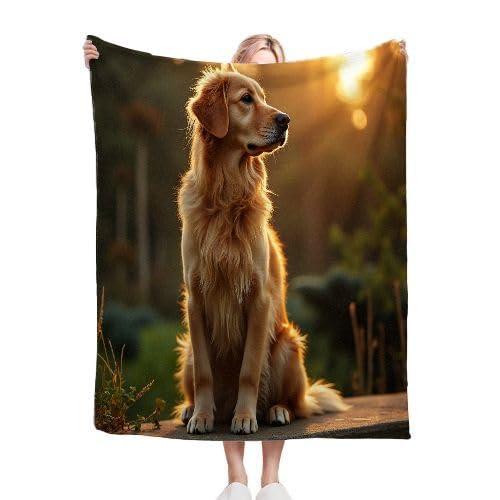 ZZXHG Kuscheldecke Flauschige 150x200 XL Gelber Golden Retriever, Weiche Plüsch Decke für Kind Adulte, Warm Flanell Fleecedecke Wendedecke Wohndecke für Bett, Wolldecke Sofadecke Tagesdecke von ZZXHG