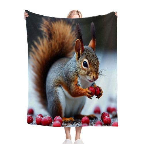ZZXHG Kuscheldecke Flauschige 150x200 XL Graubraunes EichhöRnchen, Weiche Plüsch Decke für Kind Adulte, Warm Flanell Fleecedecke Wendedecke Wohndecke für Bett, Wolldecke Sofadecke Tagesdecke von ZZXHG
