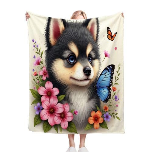 ZZXHG Kuscheldecke Flauschige 150x200 XL Grauer Husky, Weiche Plüsch Decke für Kind Adulte, Warm Flanell Fleecedecke Wendedecke Wohndecke für Bett, Wolldecke Sofadecke Tagesdecke von ZZXHG