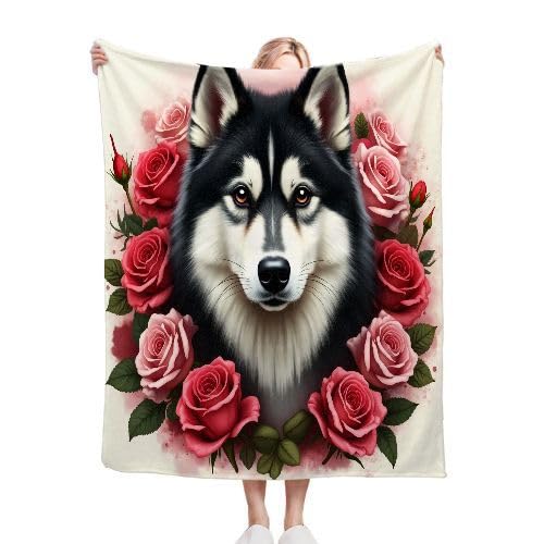 ZZXHG Kuscheldecke Flauschige 150x200 XL Schwarzer Husky, Weiche Plüsch Decke für Kind Adulte, Warm Flanell Fleecedecke Wendedecke Wohndecke für Bett, Wolldecke Sofadecke Tagesdecke von ZZXHG
