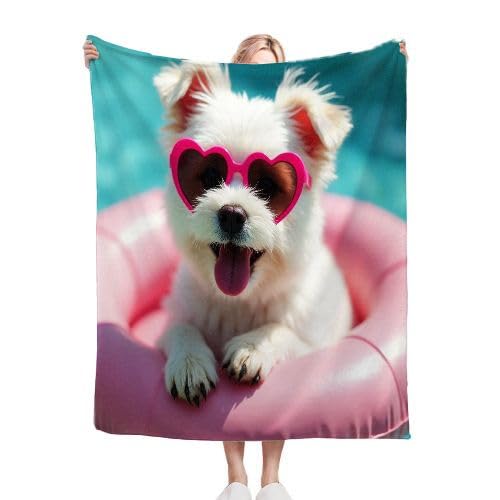 ZZXHG Kuscheldecke Flauschige 150x200 XL Schwimmender WeißEr Hund, Weiche Plüsch Decke für Kind Adulte, Warm Flanell Fleecedecke Wendedecke Wohndecke für Bett, Wolldecke Sofadecke Tagesdecke ZZXHG Kuscheldecke Flauschige 150x200 XL Schwimmender WeißEr Hund, Weiche Plüsch Decke für Kind Adulte, Warm Flanell Fleecedecke Wendedecke Wohndecke für Bett, Wolldecke Sofadecke Tagesdecke von ZZXHG