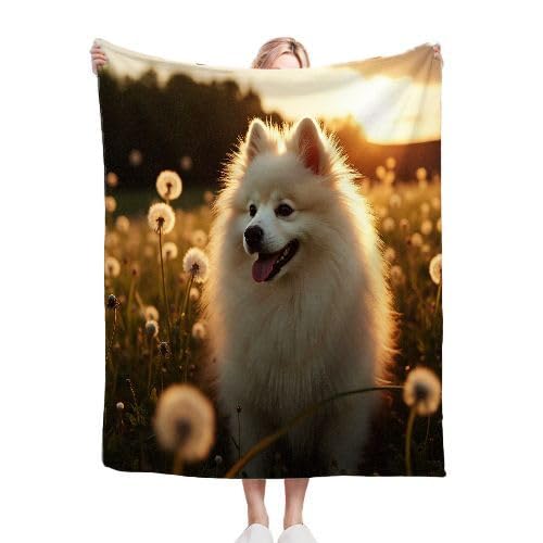ZZXHG Kuscheldecke Flauschige 150x200 XL WeißEr Samojede, Weiche Plüsch Decke für Kind Adulte, Warm Flanell Fleecedecke Wendedecke Wohndecke für Bett, Wolldecke Sofadecke Tagesdecke f274 von ZZXHG