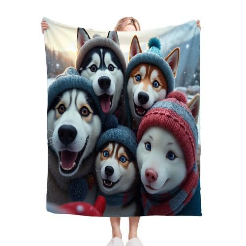 ZZXHG Kuscheldecke Huskys mit HüTen, Weiche Flauschige Decke Kind Mädchen Jungen, Warm Wendedecke Flanell Fleecedecke TV-Decken Sofadecke Wohndecke Couchdecke Tagesdecke - 130x150 cm von ZZXHG