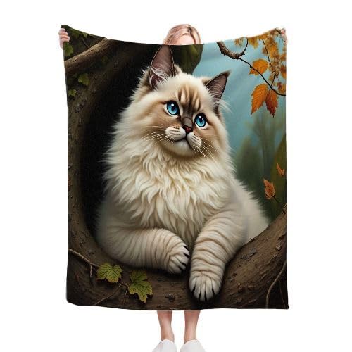 ZZXHG Kuscheldecke Kinder 130x150 Ragdoll-Katze Im Baumloch, Weiche Flauschige Plüsch Decke Tagesdecke für Erwachsene Haustier, Flanell Fleecedecke Sofadecke Couchdecke Wohndecke Sofaüberwurf von ZZXHG