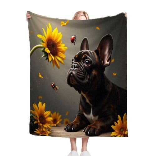 ZZXHG Kuscheldecke Kinder 130x150 Schwarzer Bulldog, Weiche Flauschige Plüsch Decke Tagesdecke für Erwachsene Haustier, Flanell Fleecedecke Sofadecke Couchdecke Wohndecke Sofaüberwurf von ZZXHG