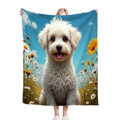 ZZXHG Kuscheldecke WeißEr Haushund, Weiche Flauschige Decke Kind Mädchen Jungen, Warm Wendedecke Flanell Fleecedecke TV-Decken Sofadecke Wohndecke Couchdecke Tagesdecke - 130x150 cm f346 von ZZXHG