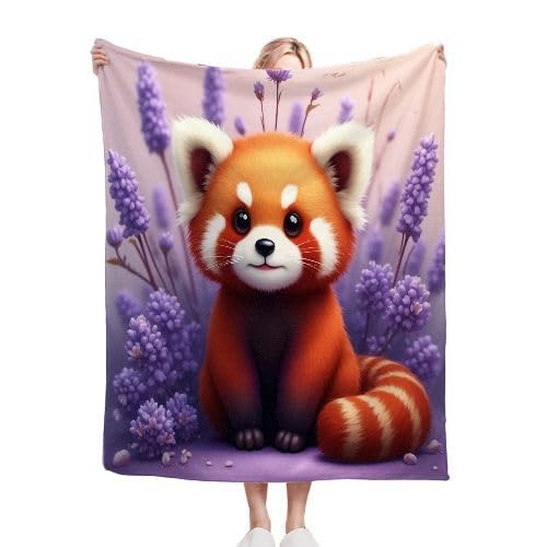 ZZXHG Wohndecken Kuscheldecken 150x200 Brauner WaschbäR, Weiche Flauschige Plüsch Decke für Kind Erwachsene, Flanell Fleecedecke TV-Decken/Sofadecke/Tagesdecke/Mikrofaser Couchdecke von ZZXHG