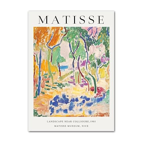 ZZYGGN GMGSW Henri Matisse Poster Retro Landschaft Leinwand Wandkunst Henri Matisse Drucke Matisse Gemälde Matisse Bild für Home Decor 40x50cmx1 Kein Rahmen von ZZYGGN GMGSW
