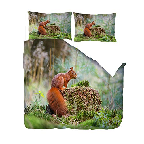 ZZZXX Bettwäsche 135X200 3Teilig Rotes Eichhörnchen Bettbezug Set Microfaser Kinderbettwäsche Warme Atmungsaktive Bettbezüge Mit Reißverschluss Und 2 Mal 80X80Cm Kissenbezug von ZZZXX