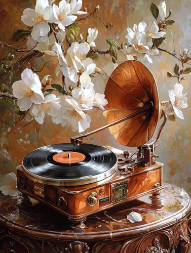 Diamond Painting Eckige Steine Grammophon 60x80cm, 5D Blume Diamant Painting Bilder Erwachsene Set, DIY Kreuzstich Stickerei Mosaikherstellung Bastelset Erwachsene, Zur Weihnachten Deko Wand F-19 Diamond Painting Eckige Steine Grammophon 60x80cm, 5D Blume Diamant Painting Bilder Erwachsene Set, DIY Kreuzstich Stickerei Mosaikherstellung Bastelset Erwachsene, Zur Weihnachten Deko Wand F-19 von Zahnngxp