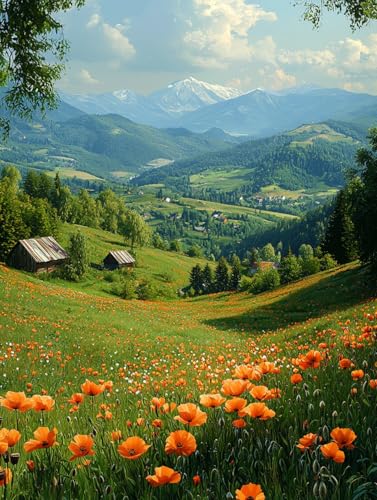 Diamond Painting Eckige Steine Landschaft 60x80cm, 5D Blume Diamant Painting Bilder Erwachsene Set, DIY Kreuzstich Stickerei Mosaikherstellung Bastelset Erwachsene, Zur Weihnachten Deko Wand F-11 von Zahnngxp