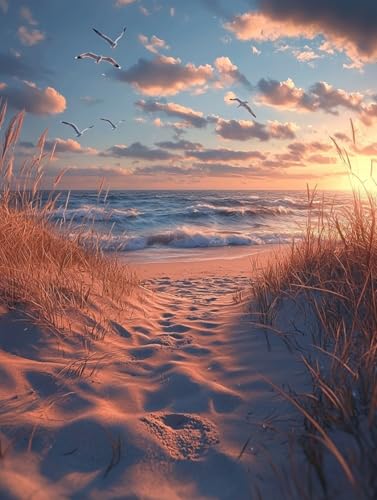 Diamond Painting Eckige Steine Strand 60x80cm, 5D Sonnenuntergang Diamant Painting Bilder Erwachsene Set, DIY Kreuzstich Stickerei Mosaikherstellung Bastelset Erwachsene, Zur Weihnachten Deko H-49 von Zahnngxp