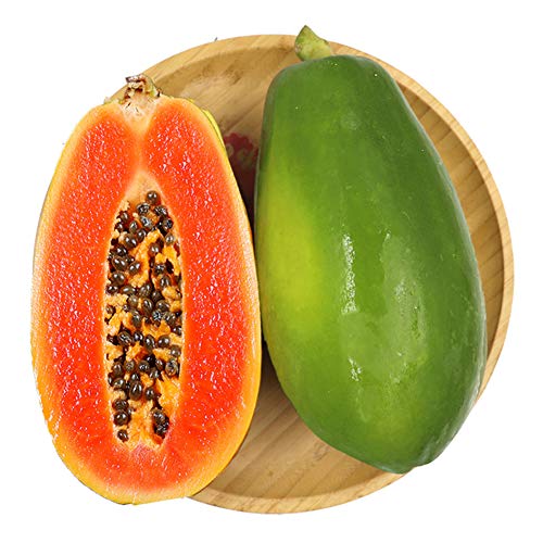 Papaya-Fruchtsamen 10 Stück Chinesische blühende Quitte Pawpaw Bio Frisch Leicht zu züchtende Pflanzensamen zum Pflanzen von Gartenhof von Zaisheng