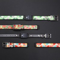 Fi Series 1, 2 Oder 3 Kompatibles Wasserdichtes Titan Hundehalsband von ZaleyDesigns