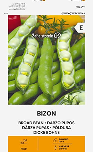 Zalia stotele | DICKE BOHNE BIZON samen | Gemüsesamen | Pflanze samen |Bohnensamen | Gardensamen | 1 Pack von Žalia stotelė