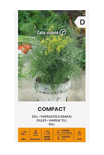 Zalia stotele | DILL COMPACT samen| Gemüsesamen | Eine frühe, produktive Sorte | Dill samen | Pflanze samen | Ideal für Töpfe oder Kübel, auch für Freiland bzw. Gewächshaus | Gardensamen | 1 Pack von Žalia stotelė