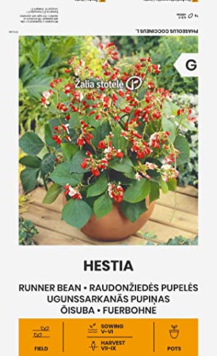 Zalia stotele | FUERBOHNE HESTIA samen | Blumensamen | Pflanze samen | Gardensamen | 1 Pack von Žalia stotelė