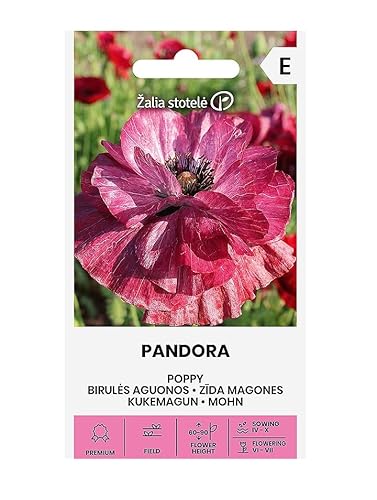 Zalia stotele | Klatschmohn - Pandora samen | Blumensamen | Pflanze samen | Klatschmohn samen | Gardensamen | Klatschmohne eignen sich hervorragend für Beete | 1 Pack von Žalia stotelė