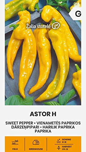 Zalia stotele | PAPRIKA ASTOR H samen| Gemüsesamen | Pflanze samen | Paprikasamen | Gardensamen | 1 Pack von Žalia stotelė