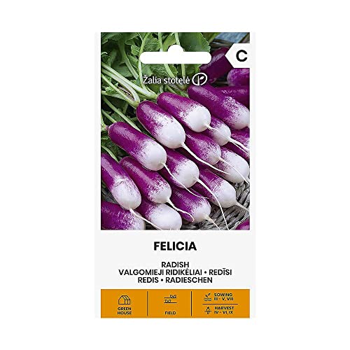 Zalia stotele | RADIESCHEN FELICIA samen| Gemüsesamen | Pflanze samen | Gardensamen | 1 Pack von Žalia stotelė