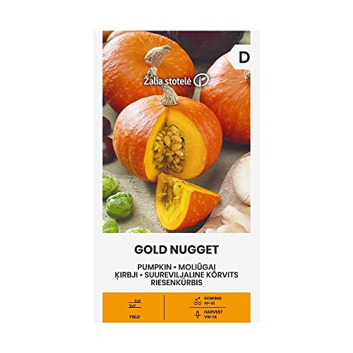 Zalia stotele | RIESENKÜRBIS GOLD NUGGET samen| Gemüsesamen | Pflanze samen | Gardensamen | 1 Pack von Žalia stotelė