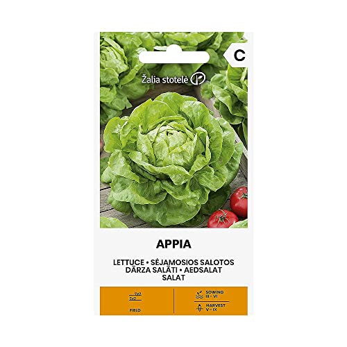 Zalia stotele | SALAT APPIA samen| Gemüsesamen | Pflanze samen | Salat samen | Gardensamen | 1 Pack von Žalia stotelė