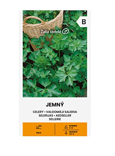 Zalia stotele | SELLERIE JEMNÝ samen | Gemüsesamen | Frühe, sehr produktive Sorte | Pflanze samen | Sellerie samen | Gardensamen | 1 Pack von Žalia stotelė