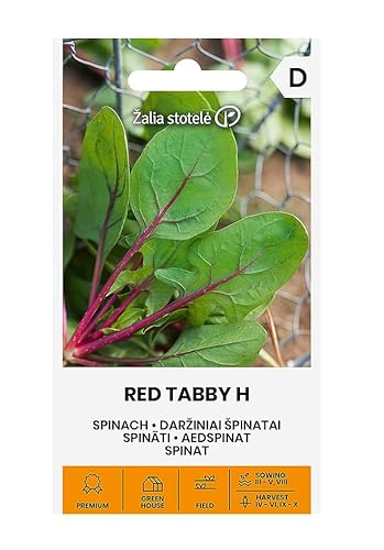 Zalia stotele | SPINAT RED TABBY H samen | Gemüsesamen | Frühe Sorte | Pflanze samen | Spinat samen | Gardensamen | Für die Frühjahrs- und Herbsternte | 1 Pack von Žalia stotelė