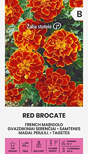 Zalia stotele | TAGETES - RED BROCATE samen | Blumensamen | Pflanze samen | Gardensamen | 1 Pack von Žalia stotelė