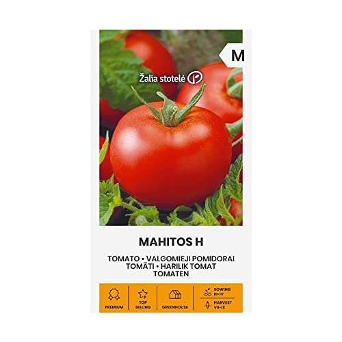 Zalia stotele | TOMATEN MAHITOS H samen| Gemüsesamen | Pflanze samen | Tomatensamen | Gardensamen | 1 Pack von Žalia stotelė