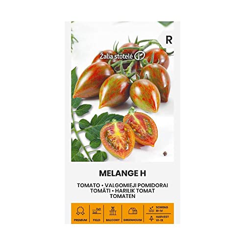 Zalia stotele | TOMATEN MELANGE H samen| Gemüsesamen | Pflanze samen | Tomatensamen | Gardensamen | 1 Pack von Žalia stotelė