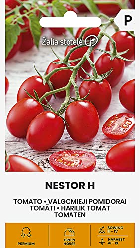 Zalia stotele | TOMATEN NESTOR H samen| Gemüsesamen | Pflanze samen | Tomatensamen | Gardensamen | 1 Pack von Žalia stotelė