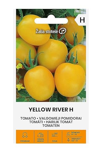 Zalia stotele | TOMATEN YELLOW RIVER H samen | Gemüsesamen | Pflanze samen | Tomatensamen | Gardensamen | Anbau im Freiland oder im Gewächshaus | 1 Pack von Žalia stotelė