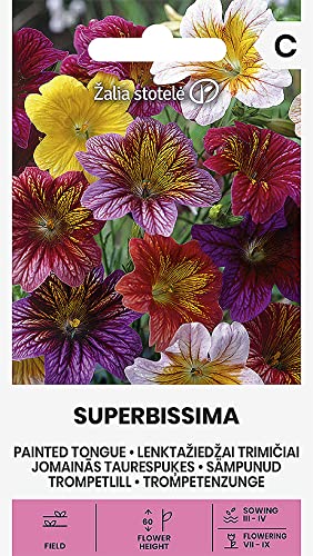 Zalia stotele | TROMPETENZUNGE - SUPERBISSIMA samen | Blumensamen | Pflanze samen | Gardensamen | 1 Pack von Žalia stotelė