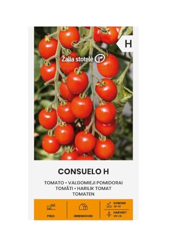 Zalia stotele | Tomaten - Consuelo H samen | Gemüsesamen | Pflanze samen | Tomatensamen | Eine frühe, hochwachsende, Krautfäuleresistente Kirschtomate | 1 Pack von Žalia stotelė