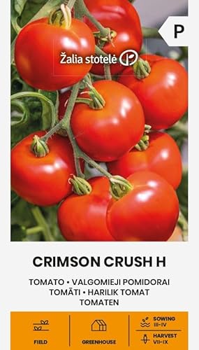 Zalia stotele | Tomaten - Crimson Crush H samen | Gemüsesamen | Pflanze samen | Tomatensamen | Eine frühe, hochwachsende Hybride | Die runden, roten Früchte | 1 Pack von Žalia stotelė