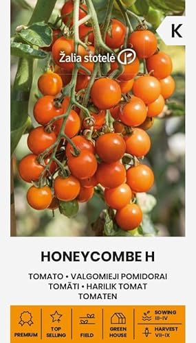 Zalia stotele | Tomaten - Honeycombe H samen | Gemüsesamen | Pflanze samen | Tomatensamen | Mittelfrühe, hochwachsende Hybride | Sehr produktive Cherrytomate | 1 Pack von Žalia stotelė