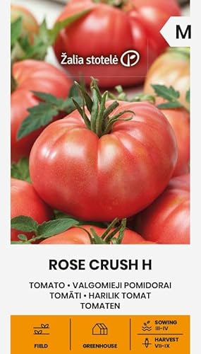 Zalia stotele | Tomaten - Rose Crush H samen | Gemüsesamen | Pflanze samen | Tomatensamen | Mittelfrühe, hochwachsende Hybride | 1 Pack von Žalia stotelė