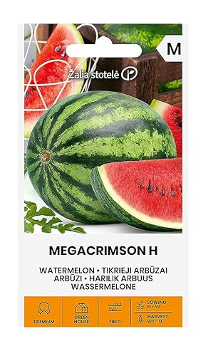 Zalia stotele | WASSERMELONE MEGACRIMSON H samen | Gemüsesamen | Mittelfrühe Wassermelone samen | Pflanze samen | Gardensamen | 1 Pack von Žalia stotelė