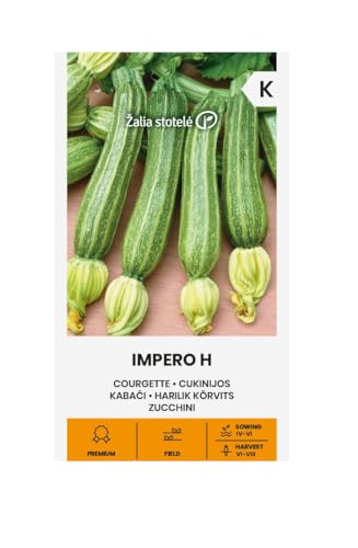 Zalia stotele | Zucchini - Impero H samen | Gemüsesamen | Pflanze samen | Zucchini samen | Gardensamen | Eine mittelfrühe, sehr produktive und resistente Hybride | 1 Pack von Žalia stotelė